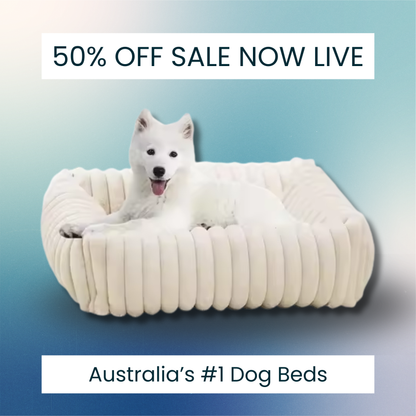 Snuggle&PawsCo - Orthopaedic Dog Bed 50% OFF Freebie Cooling Mat