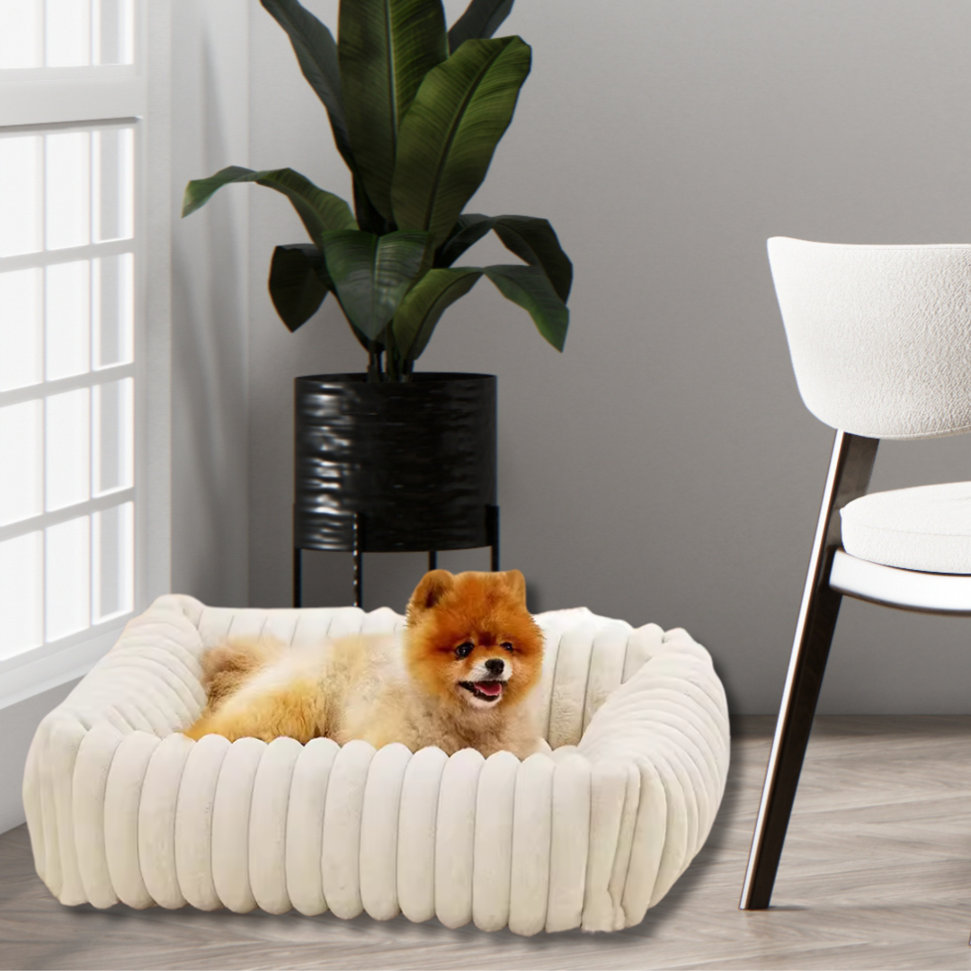 Snuggle&PawsCo - Orthopaedic Dog Bed 50% OFF Freebie Cooling Mat